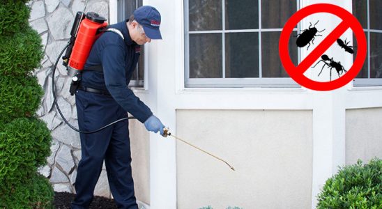 Çankırı Fare İlaçlama böcek ilaçlama ve haşere kontrolü — ilaclama-tr.com